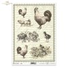 Easter, spring, retro, eggs, chickens